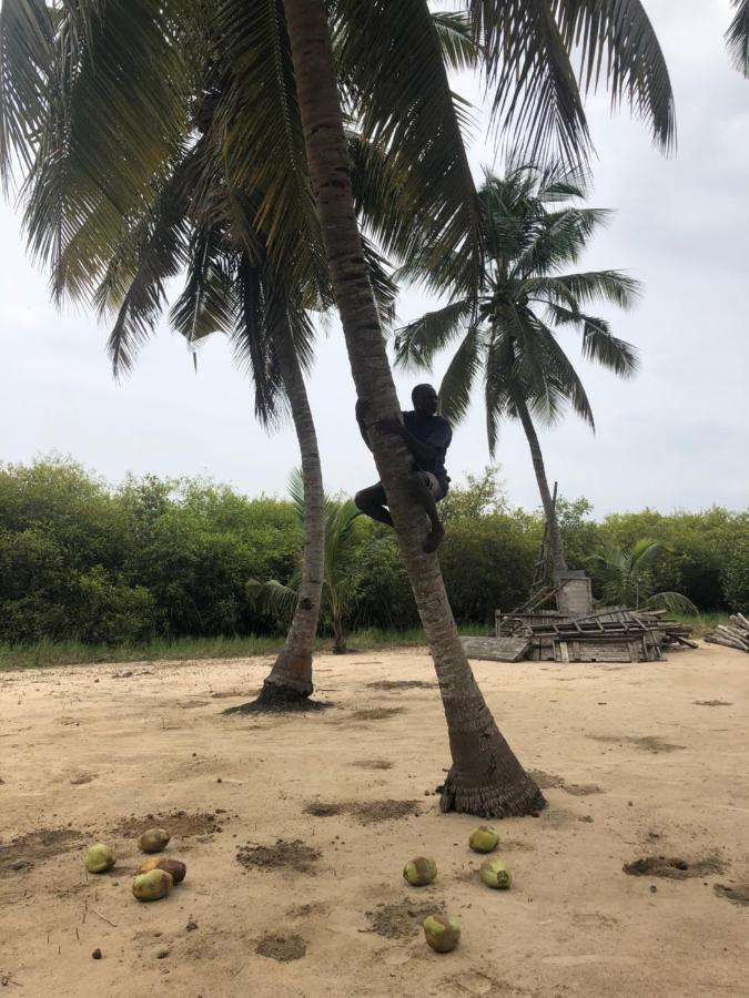 Natura Luxury Lodge Ouidah エクステリア 写真