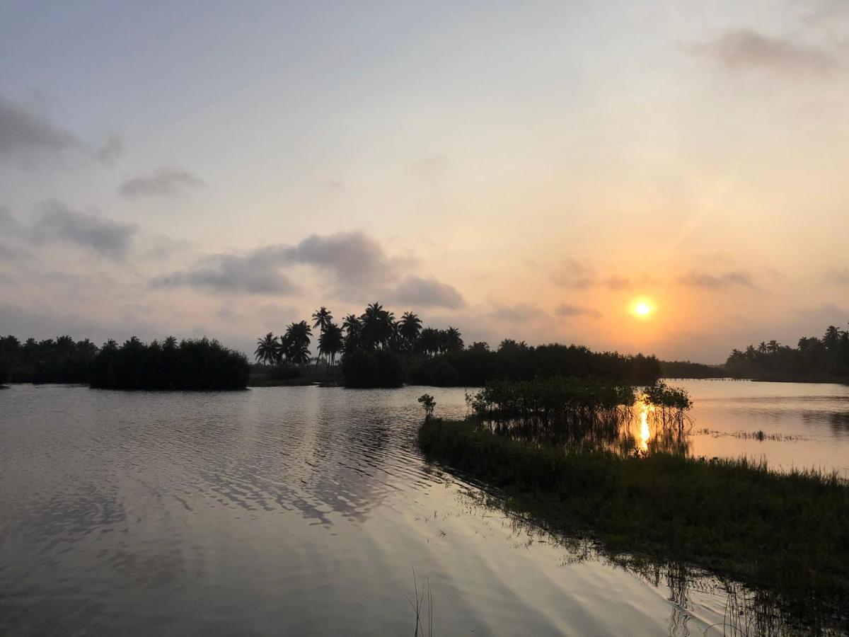 Natura Luxury Lodge Ouidah エクステリア 写真