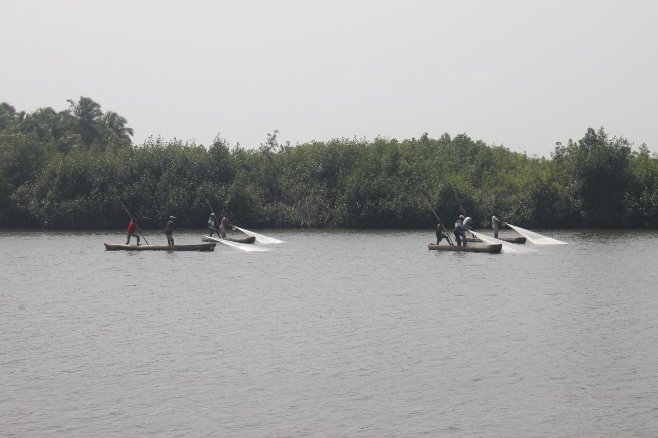 Natura Luxury Lodge Ouidah エクステリア 写真